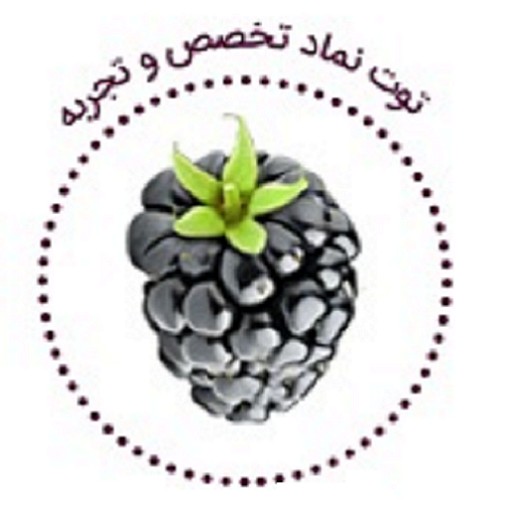 فناوران توت آذربایجان | tootco